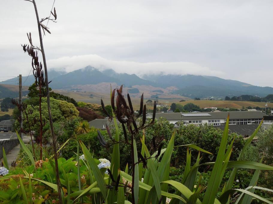 Raglan, Walk To Harbour And Town, Garden Views Apartment Екстериор снимка